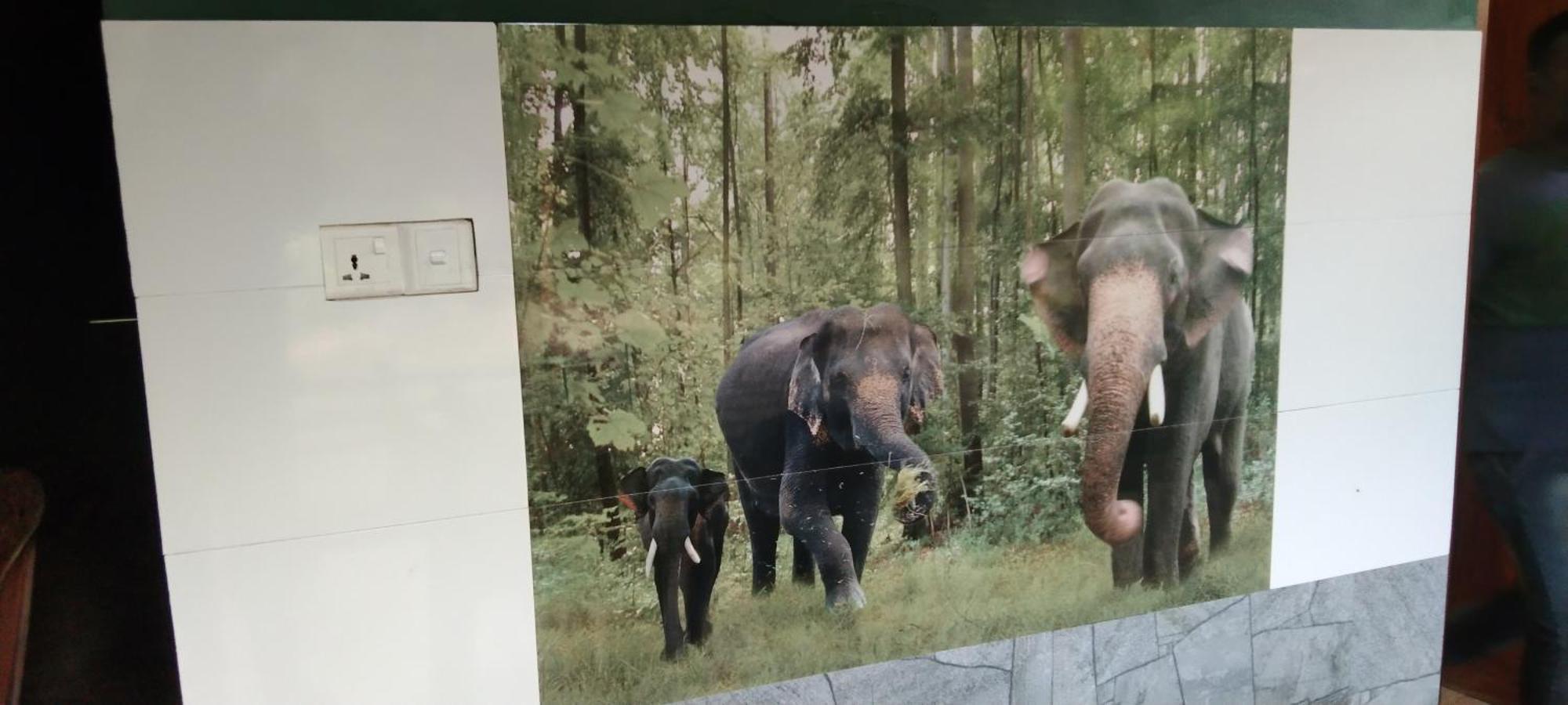 Kanneliya Eco Garden Hotel Koralegama Kültér fotó